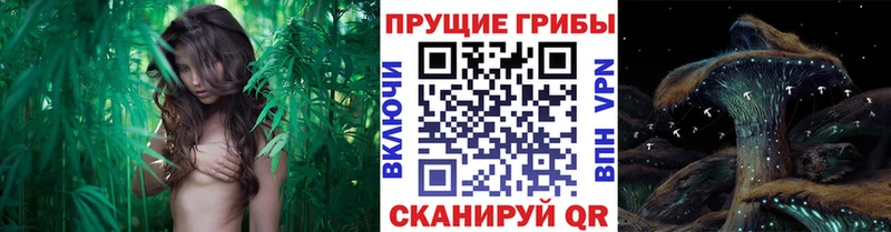 Галлюциногенные грибы Magic Shrooms  Данков 